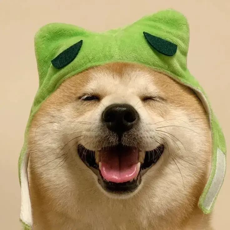 hieunvtryhand